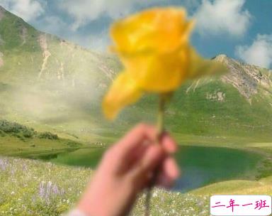 早晨元气满满的说说 朋友圈很励志的早安一句话2