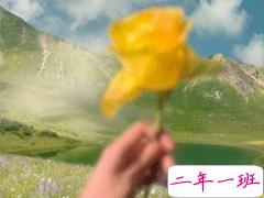 早晨元气满满的说说 朋友圈很励志的早安一句话