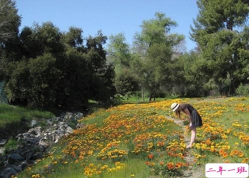 安妮宝贝作品集经典语录摘抄 美文优美唯美的语录大全安妮宝贝1