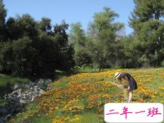 安妮宝贝作品集经典语录摘抄 美文优美唯美的语录大全安妮宝贝