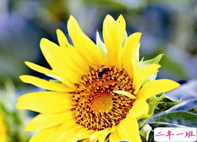 九月你好励志说说 2019九月抖音励志说说心情2