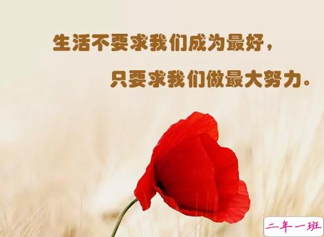 朋友圈微商经典语录加配图2018 朋友圈微商励志经典语录带图片4