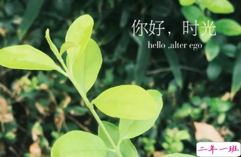 朋友圈微商经典语录加配图2018 朋友圈微商励志经典语录带图片6