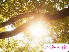 2019下半年第一天怎么发说说 下半年第一天说说朋友圈好听励志