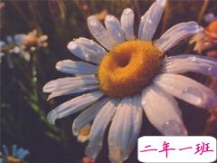 微信晒高考成绩单的说说 2019知道高考成绩发朋友圈的励志句子