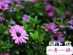 2018早安语录正能量语句每天一句 微信早安语录正能量满满