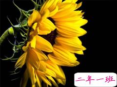 微博一句话正能量句子 知道的越少越快乐