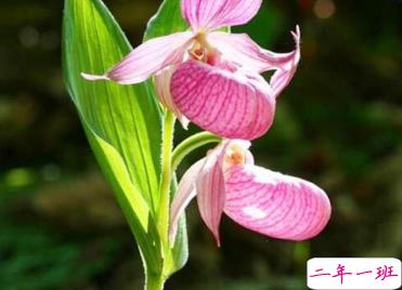 2019致自己说说励志阳光 充满力量的朋友圈说说1