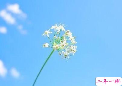 2019致自己说说励志阳光 充满力量的朋友圈说说2