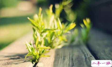 三毛经典语录爱情语录大全集锦 50条三毛语录关于爱情精选3