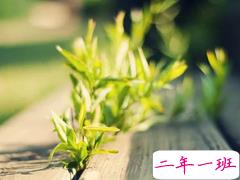 三毛经典语录爱情语录大全集锦 50条三毛语录关于爱情精选