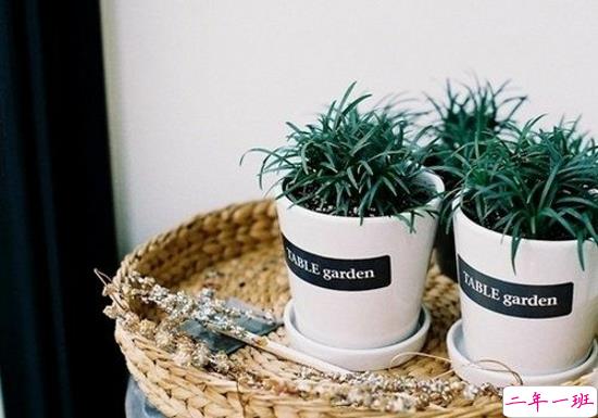 2019最新经典爱情说说大全 爱情励志的话简短精辟1