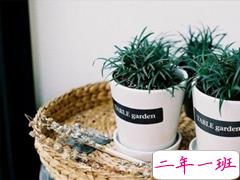 2019最新经典爱情说说大全 爱情励志的话简短精辟