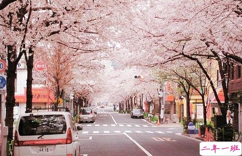 2019最新三月经典励志句子致自己 2019三月加油微信说说大全1