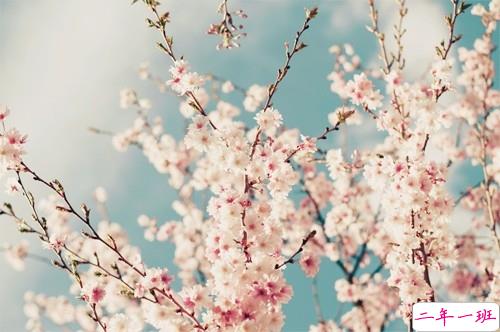 2019最新三月经典励志句子致自己 2019三月加油微信说说大全2