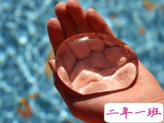 2019新年励志句子致自己简短 散发正能量的励志句子合集