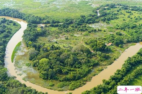 2019猪年励志句子致自己 2019早安猪年励志语录大全2