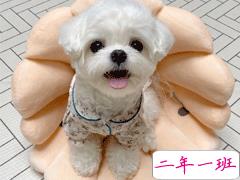 毕业季找工作忧心文案  找工作心态崩了的文案