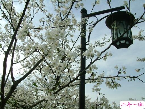 男生励志说说致自己霸气十足 很有道理的经典励志说说2