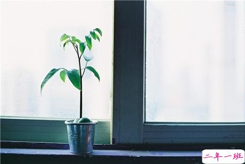 晚安句子大全简单正能量 睡觉前致自己的励志句子1