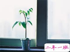 晚安句子大全简单正能量 睡觉前致自己的励志句子