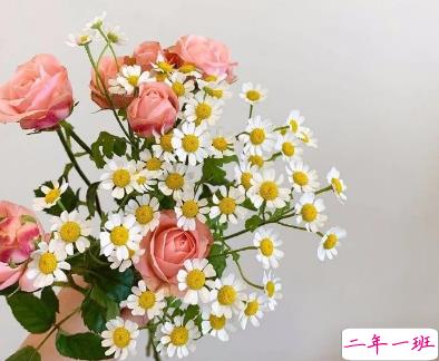 温柔干净的高质量走心文案 世界继续热闹我仍然是我2