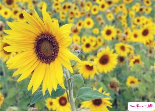 睡前说一句的微信晚安励志句子 简单正能量的晚安句子合集2