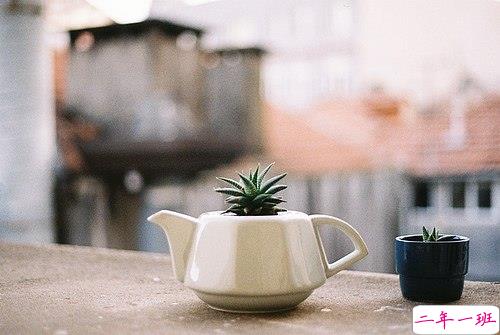 生活中的超励志经典哲理句子 2018简单正能量经典语录2