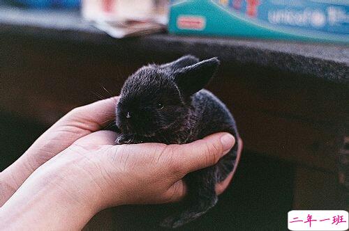 一句话励志正能量心灵鸡汤句子 简单的正能量经典句子2