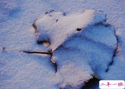 致自己往后余生的句子 愿流年不负愿岁月可期2