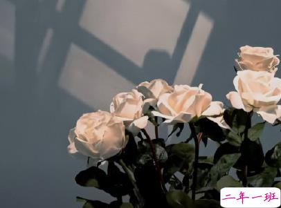 很失望的说说无可奈何 连再见都不知从何说起2