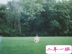 激励我们在人生之路上继续走下去的励志句子 很正能量阳光的句子