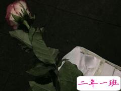 对男朋友失望心凉的说说 对这段感情失望的伤心句子