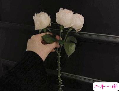 520伤感心情说说 一个人过520情人节文案1