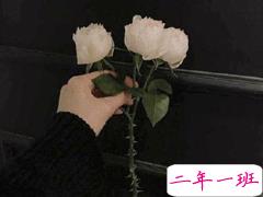 520伤感心情说说 一个人过520情人节文案