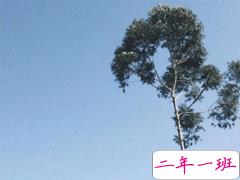 攒够了失望的经典句子 失望心疼自己的说说