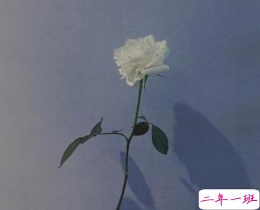 让人心塞的伤感句子 朋友圈里能引起共鸣的伤感说说1