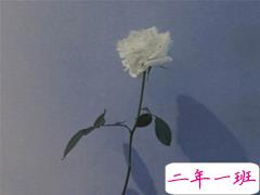 让人心塞的伤感句子 朋友圈里能引起共鸣的伤感说说