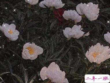 朋友圈难过文案 有点失望的心情说说1