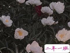 朋友圈难过文案 有点失望的心情说说