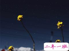 今天心情特不好的说说 心里不开心的伤感句子