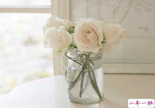 晚安心语图片正能量句子15条 心宽就是对自己最好的礼物5