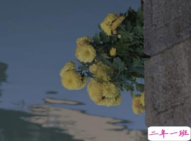 超级丧的句子微博 一些丧丧的伤感句子合集1