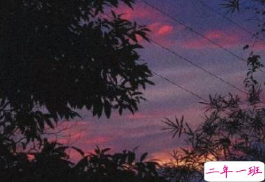 心情很差很丧的句子 2020最新伤感心情句子1