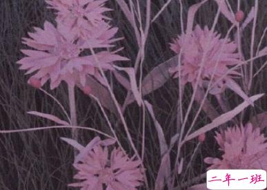 心情很差很丧的句子 2020最新伤感心情句子2