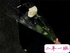 有点扎心的文案 抖音最火伤感扎心句子