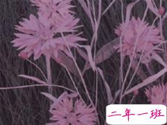 心情很差很丧的句子 2020最新伤感心情句子