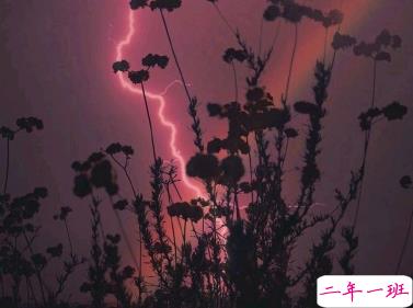 写给心累的自己疲惫不堪 特别心累的句子20202