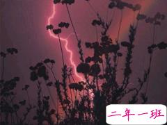 写给心累的自己疲惫不堪 特别心累的句子2020