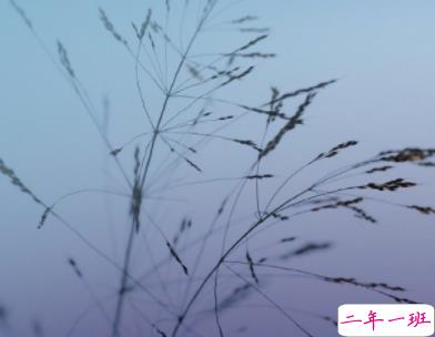 生气心累的说说心情短语 写给心累的所有人1